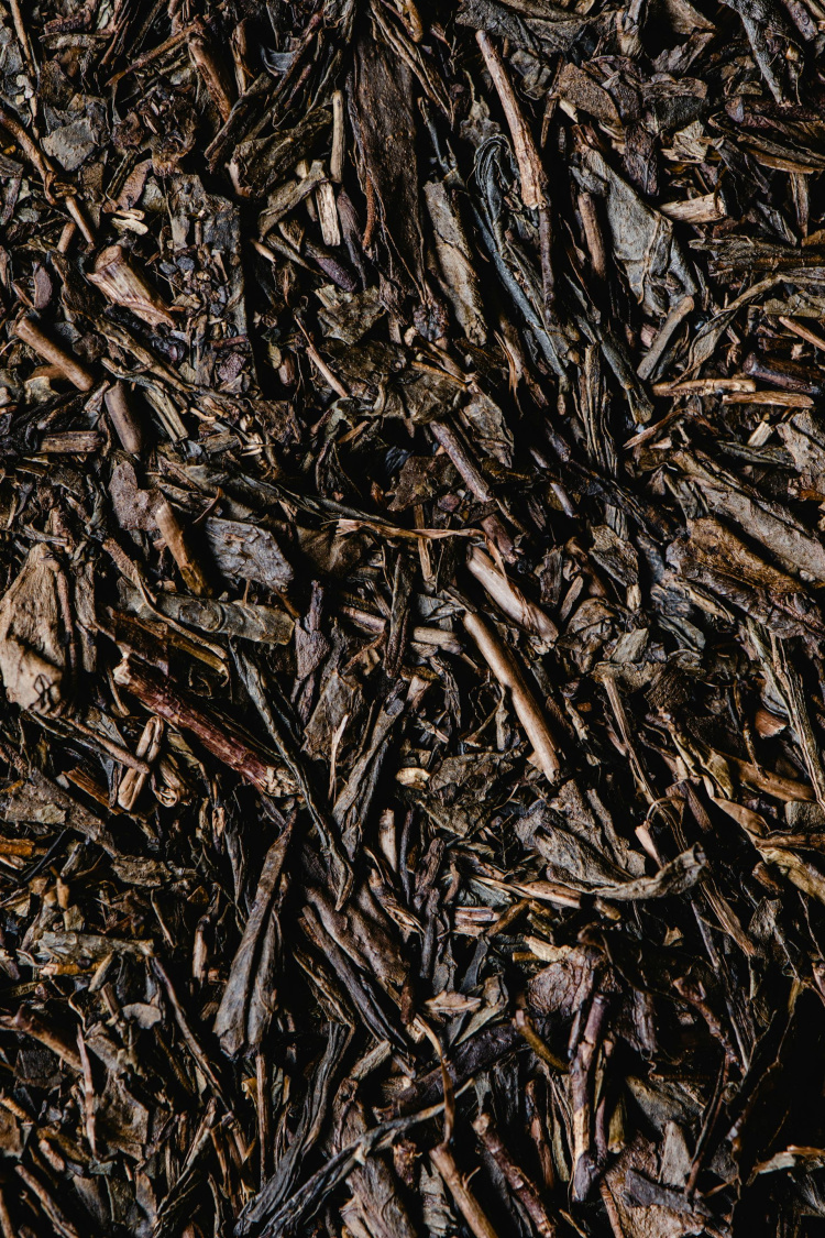 HŌJİCHA