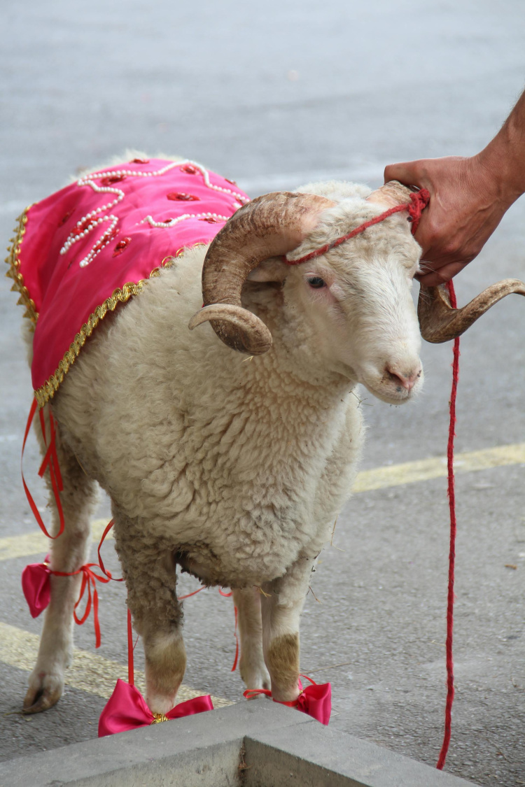 🐑 KURBAN BAYRAMI’NDA ETİN SAKLAMA KOŞULLARI
